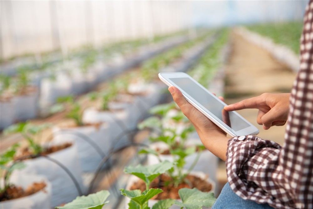 Agricultor usando tecnología
