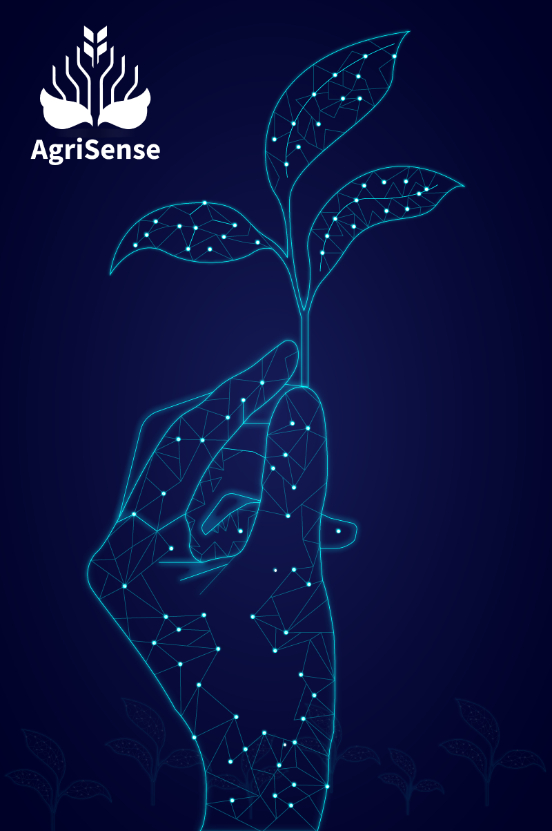 Agrisense-web-1